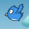 Forest birds-flying bird