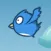 Forest birds-flying bird