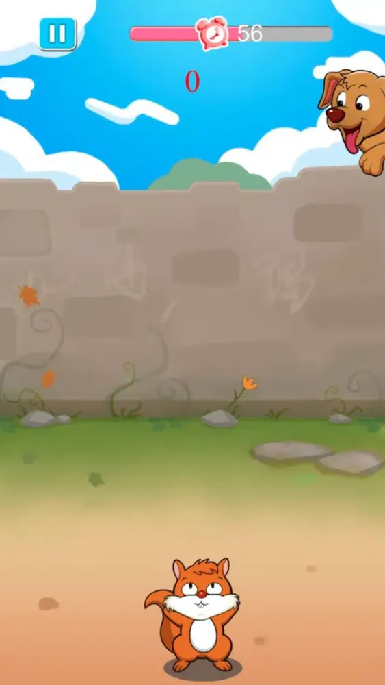 تصاویر Shuttlecock a small squirrel-Super hacky sack