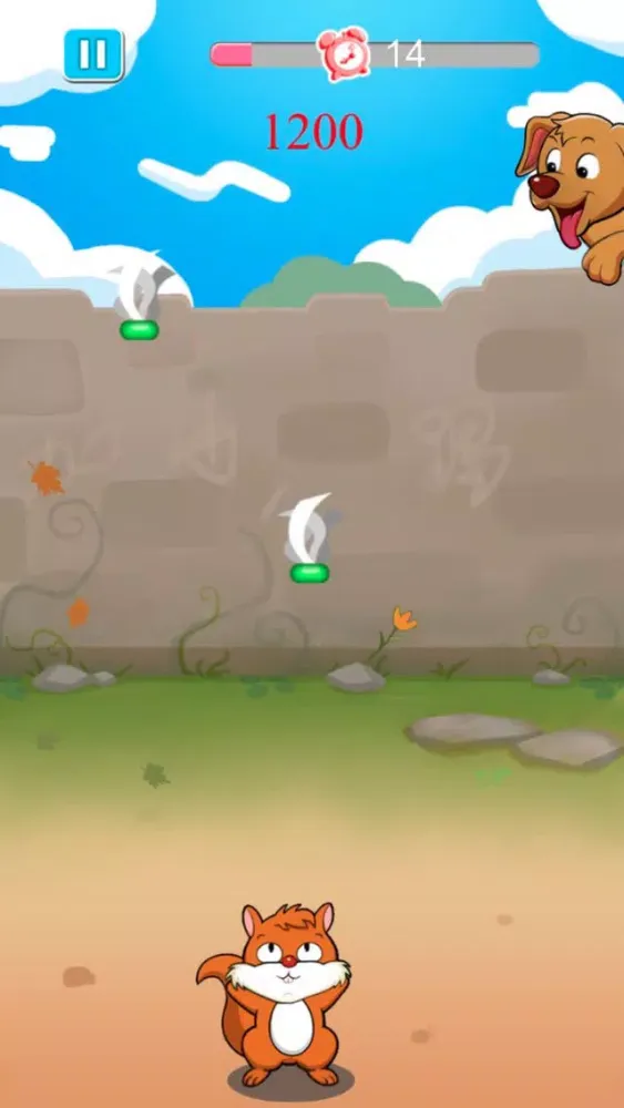 تصاویر Shuttlecock a small squirrel-Super hacky sack