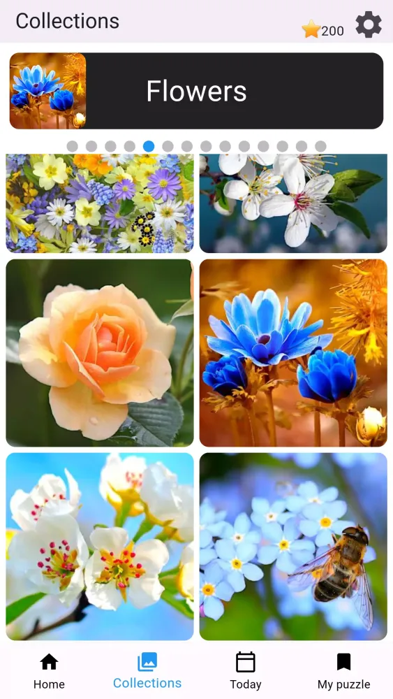 ภาพหน้าจอของ Jigsaw Puzzles Collections