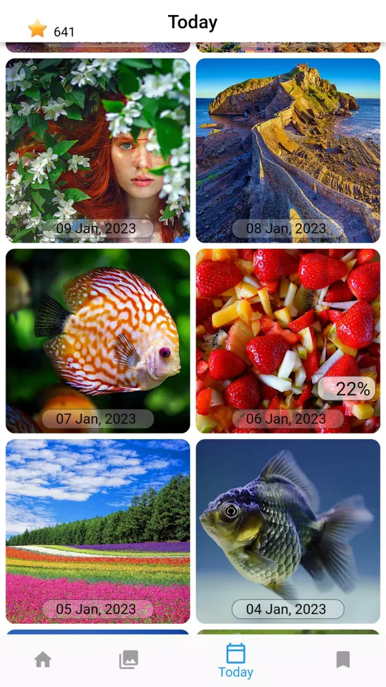 ภาพหน้าจอของ Jigsaw Puzzles Collections