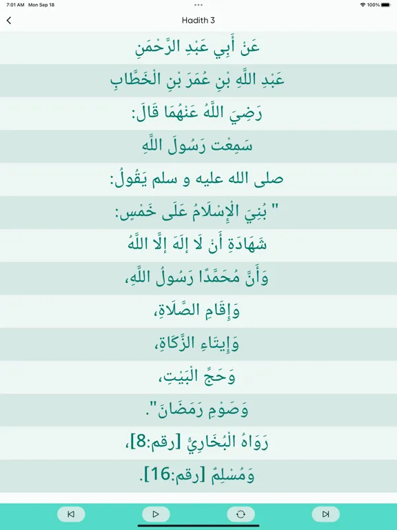 صور 40 хадисов iPad 