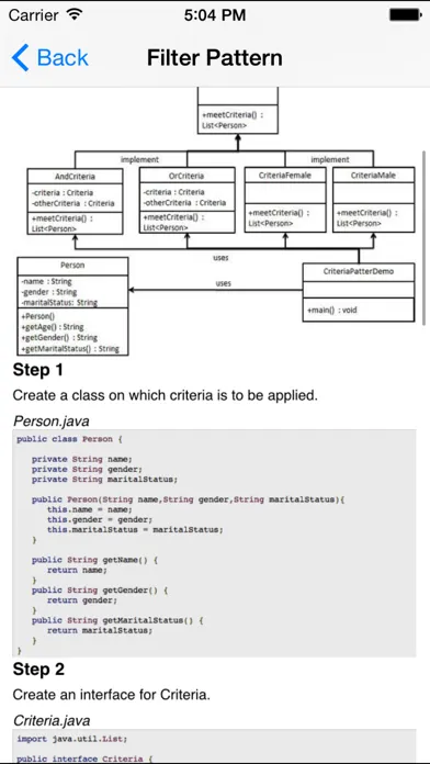 Design Patterns for Java/J2EE スクリーンショット
