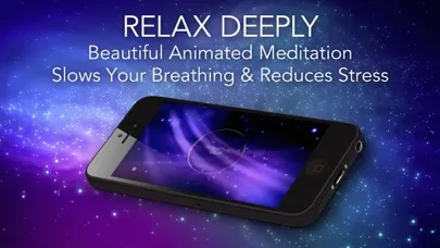 DR. JOE VITALE - HO'OPONOPONO, THE SECRET HAWAIIAN HEALING PRAYER FOR HEALTH, HAPPINESS, MONEY, WEIGHT LOSS, AND MORE Screenshots
