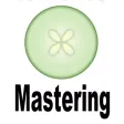 Mastering Esthetics 2020 Exam Mastering Esthetics 2020 Exam