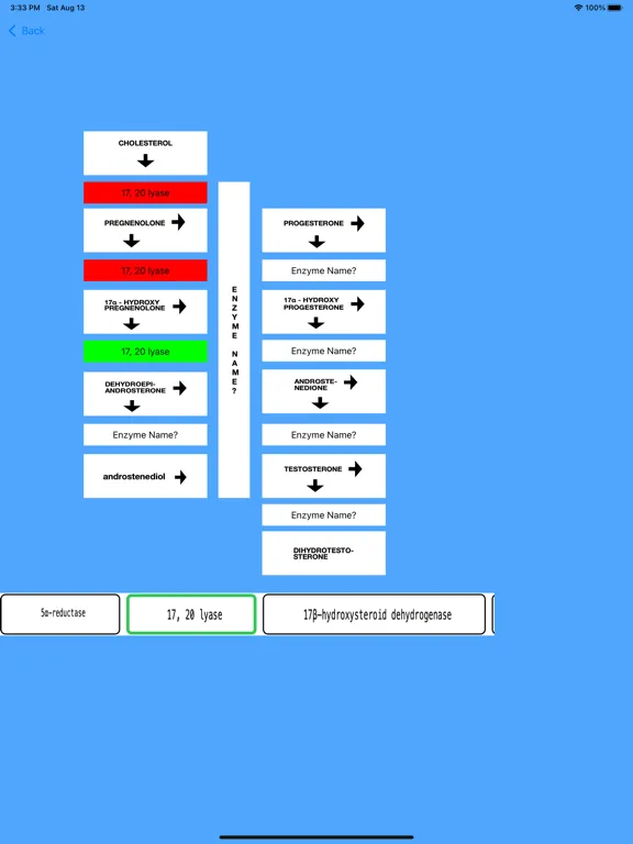 ภาพหน้าจอของ Androgen Hormones Tutor iPad 