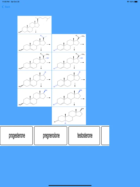 ภาพหน้าจอของ Androgen Hormones Tutor iPad 