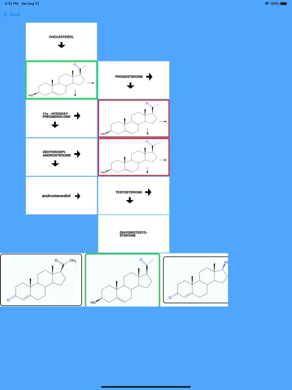 ภาพหน้าจอของ Androgen Hormones Tutor iPad 