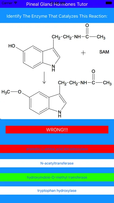 Pineal Gland Hormones Tutor Screenshots