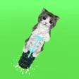 Pogo Kitty Pogo Kitty