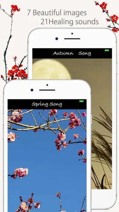 Japanese Relaxing Songs应用截图