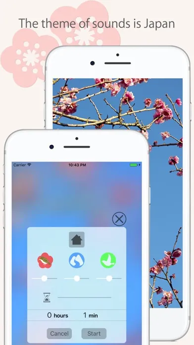 Japanese Relaxing Songs应用截图