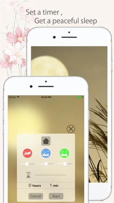 Japanese Relaxing Songs应用截图