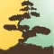 The BONSAI World【みんなの盆栽】