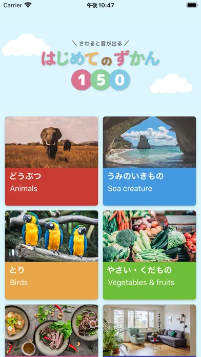 صور はじめてのずかん