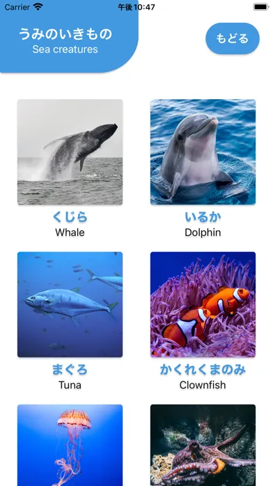 صور はじめてのずかん