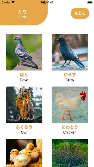 صور はじめてのずかん