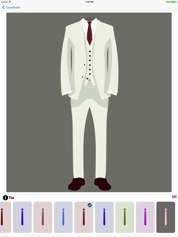 Suit Coordinator iPad 应用截图