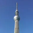 Skytree Camera