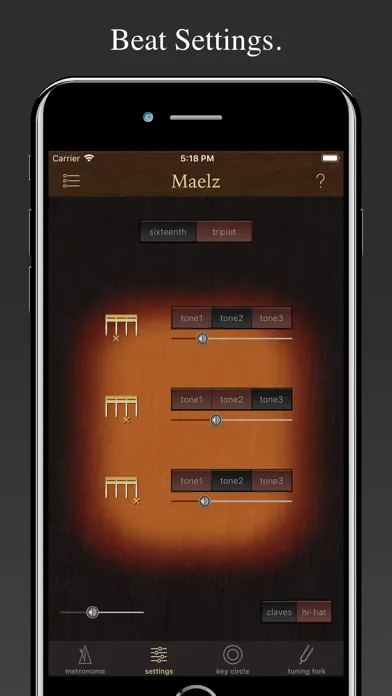 Elegant Metronome Maelz DX Pro Screenshots