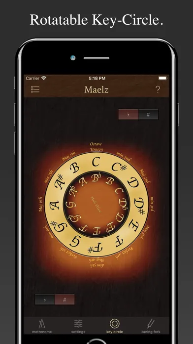 Elegant Metronome Maelz DX Pro Screenshots