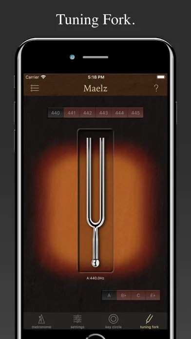 Elegant Metronome Maelz DX Pro Screenshots