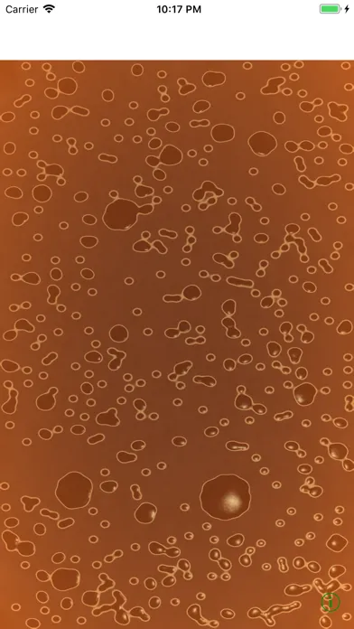 تصاویر Ramen Soup Simulator