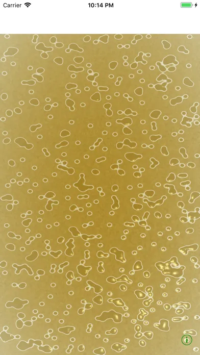 تصاویر Ramen Soup Simulator