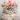 Flower Crown Feline Theme