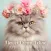 Flower Crown Feline Theme