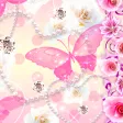 RosePapillon