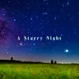 A Starry Night