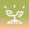 Medeta! - Start Home Gardening
