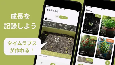 Medeta! - Start Home Gardening应用截图