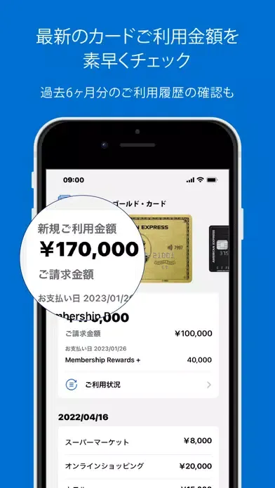 Amex Japan Ekran Görüntüleri