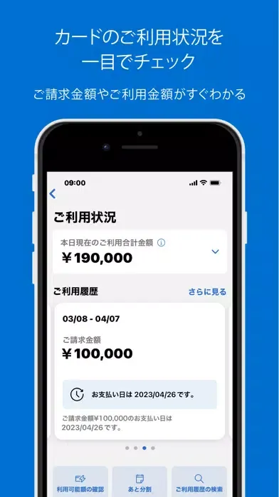 Amex Japan Ekran Görüntüleri