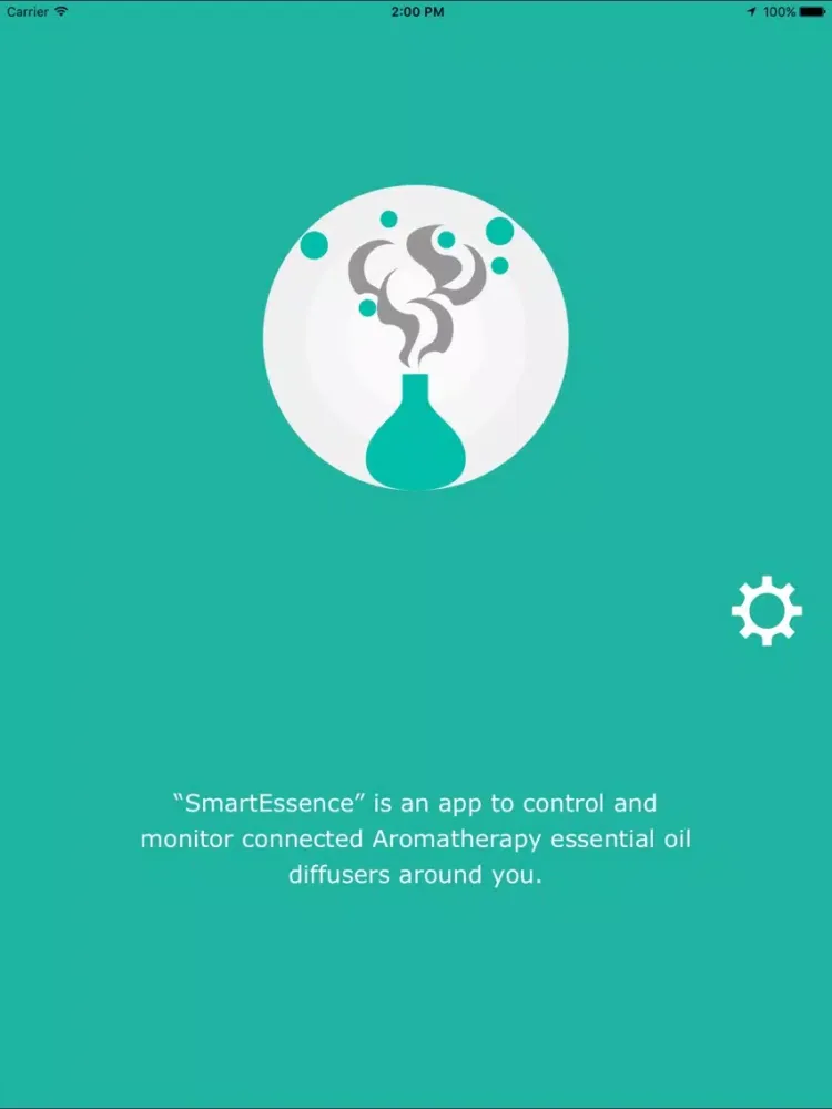 Tangkapan layar SmartEssence iPad 
