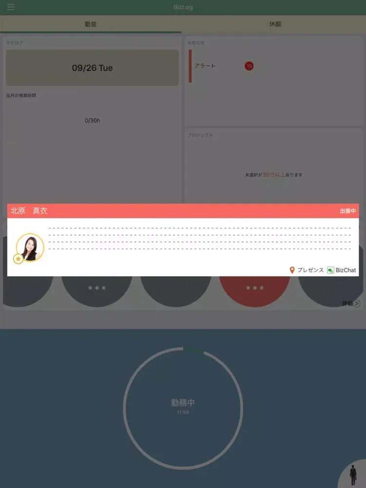 Capturas de pantalla de BizLog iPad 