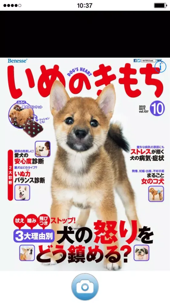Zrzuty ekranu いぬのきもちカメラ