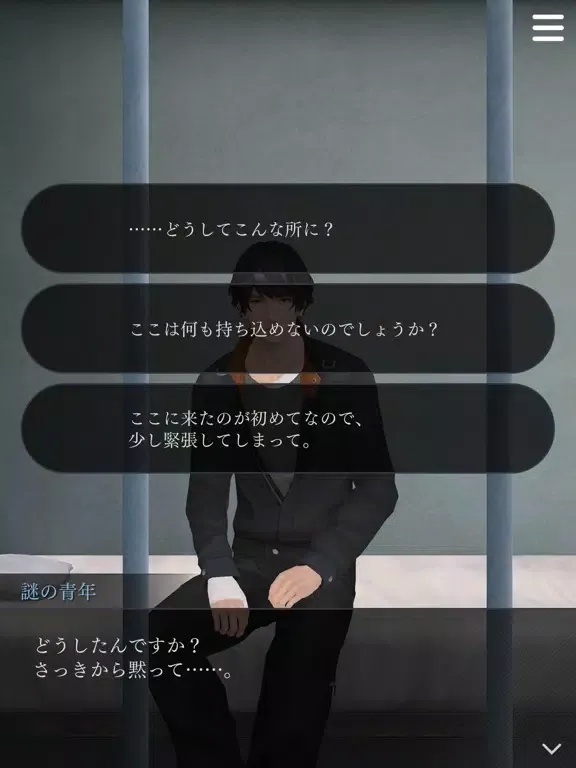 صور 囚われのパルマ Refrain iPad 