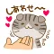 Capricious Scottish Fold
