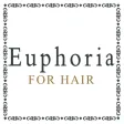 Euphoria