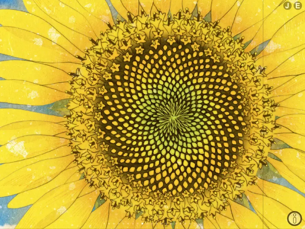 Hima chan/ A story of a sunflower in Kadonowaki iPad 應用截圖