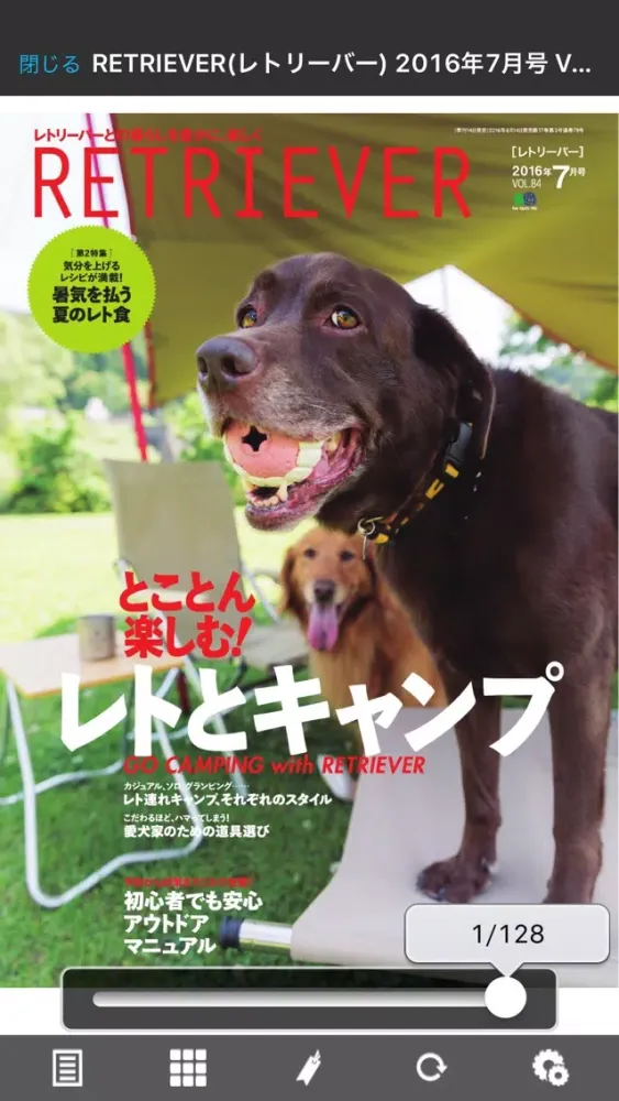 Zrzuty ekranu RETRIEVER