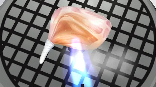 Master Grill应用截图