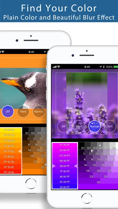 Squaready Pro স্ক্রিনশট
