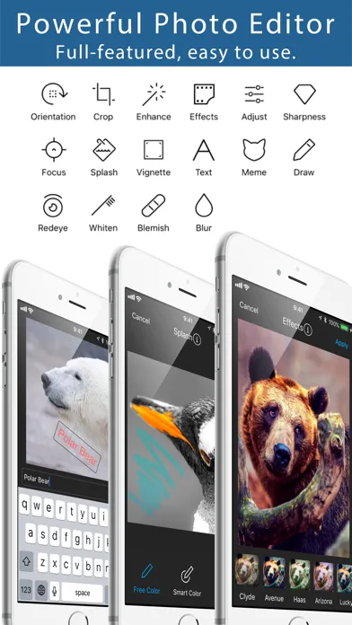 Squaready Pro স্ক্রিনশট