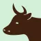 MOOVIE