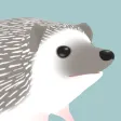 Hedgehog Life - New Edition Hedgehog Life - New Edition
